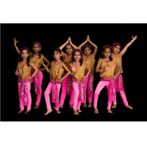 Gold And Pink Fancy Dance Costume